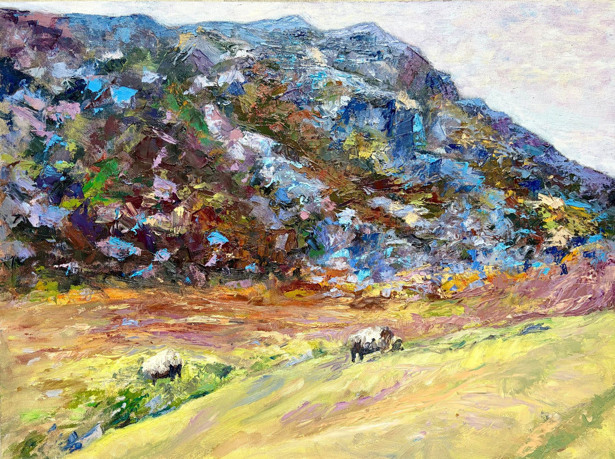 The Sound of Sheep